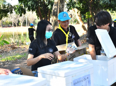 โครงการน้อมรำลึกในพระมหากรุณาธิคุณสมเด็จพระนางเจ้าสิริกิติ์ ... พารามิเตอร์รูปภาพ 218